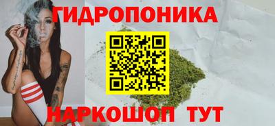 тгк Пугачёв