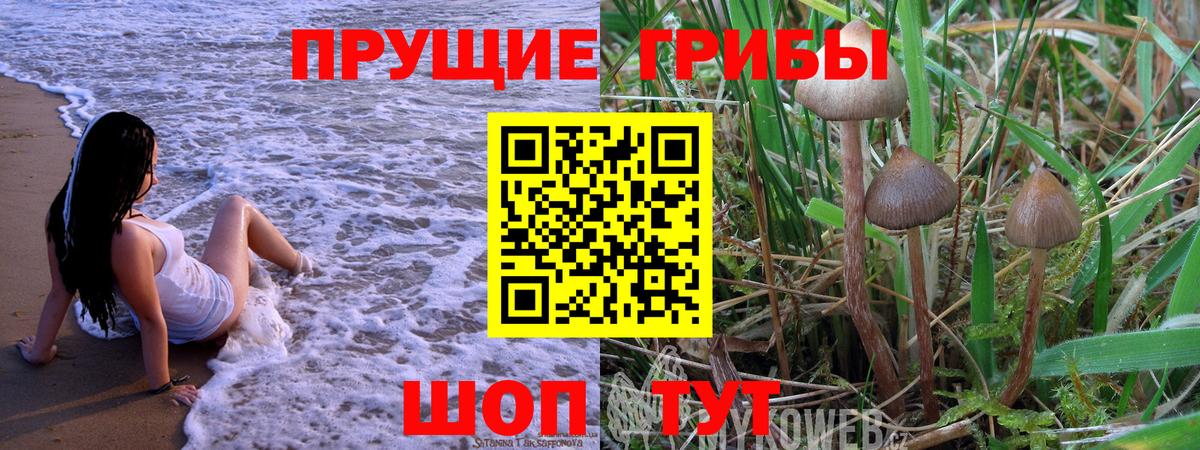 Псилоцибиновые грибы ЛСД  Вход с VPN  Сибай 